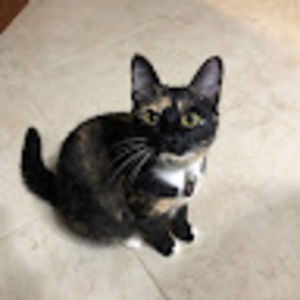 Meet your Posher, Sara